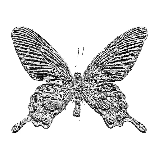 Example of the calculated local binary pattern of a mono image.