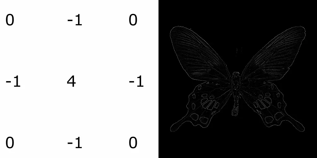 Example of an image that has been convolved with the standard Laplacian operator.