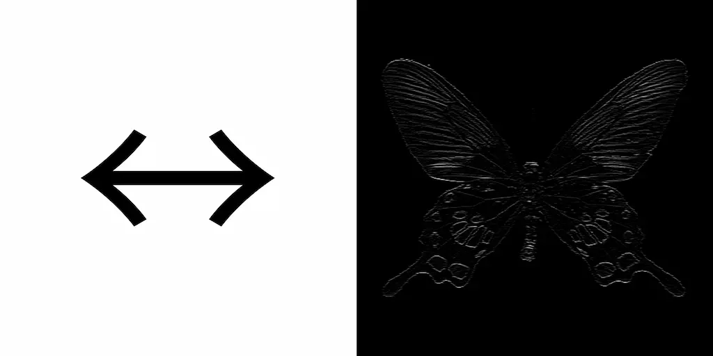 Example of an image that has been convolved with the steerable Line Detector.
