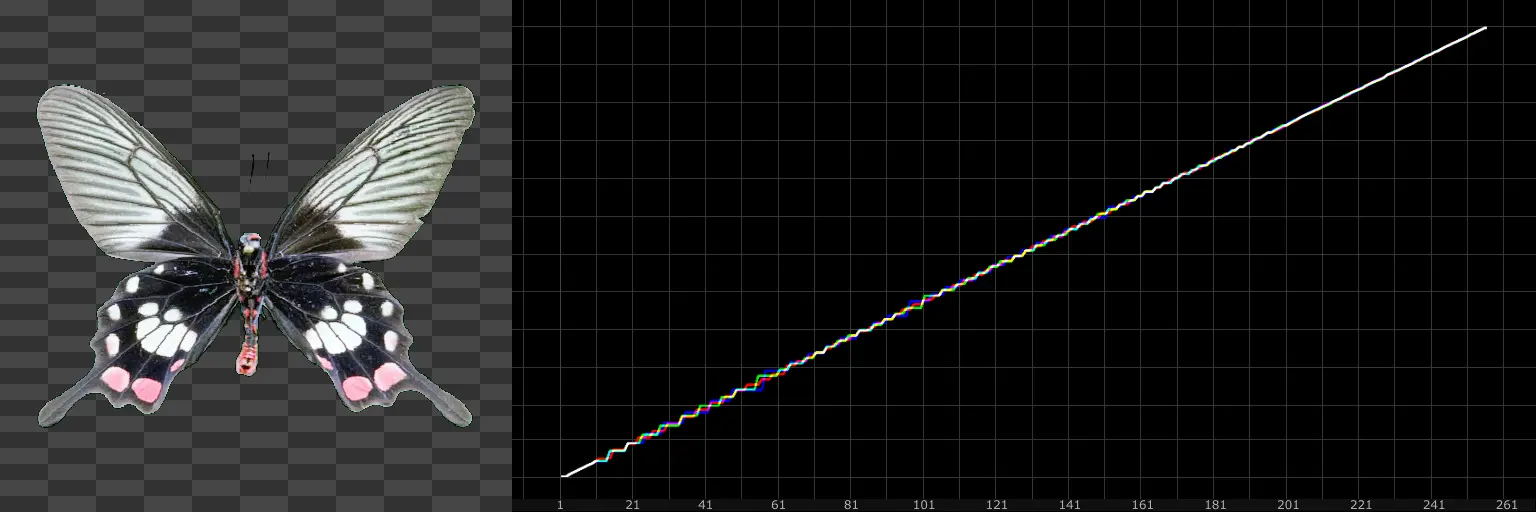 Example of an image and it's equalized Cumulative Distribution Function.