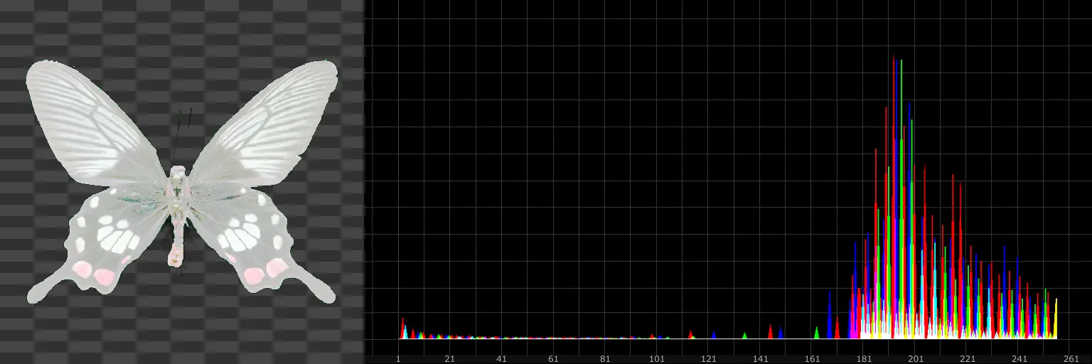 Example of an image thats Histogram has been matched to another image's histogram.