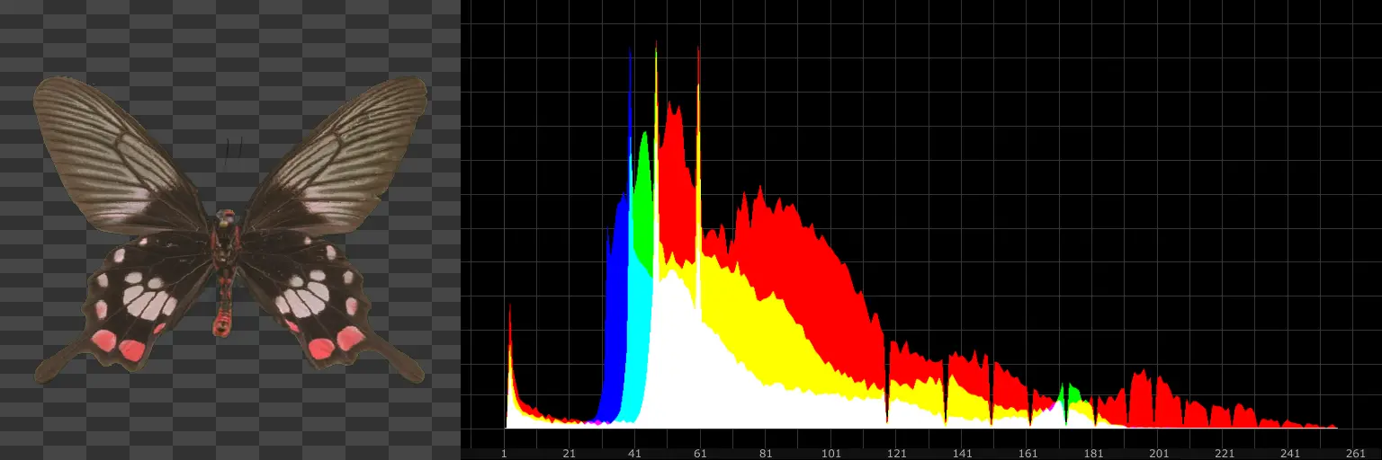 Example of an image and it's calculated Histogram.