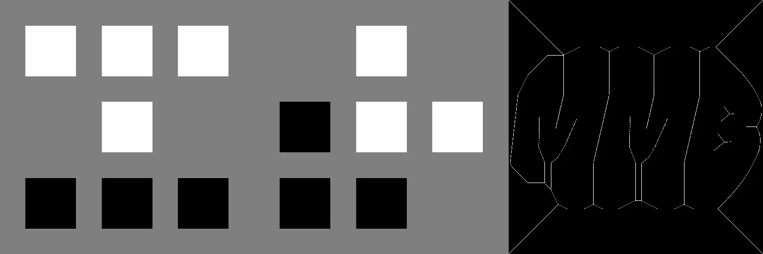 Example of a binary image that has been fully thinned leaving the skeleton of the original binary image.