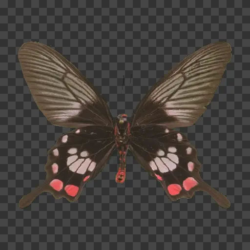 Example of an image that has been unsorted.