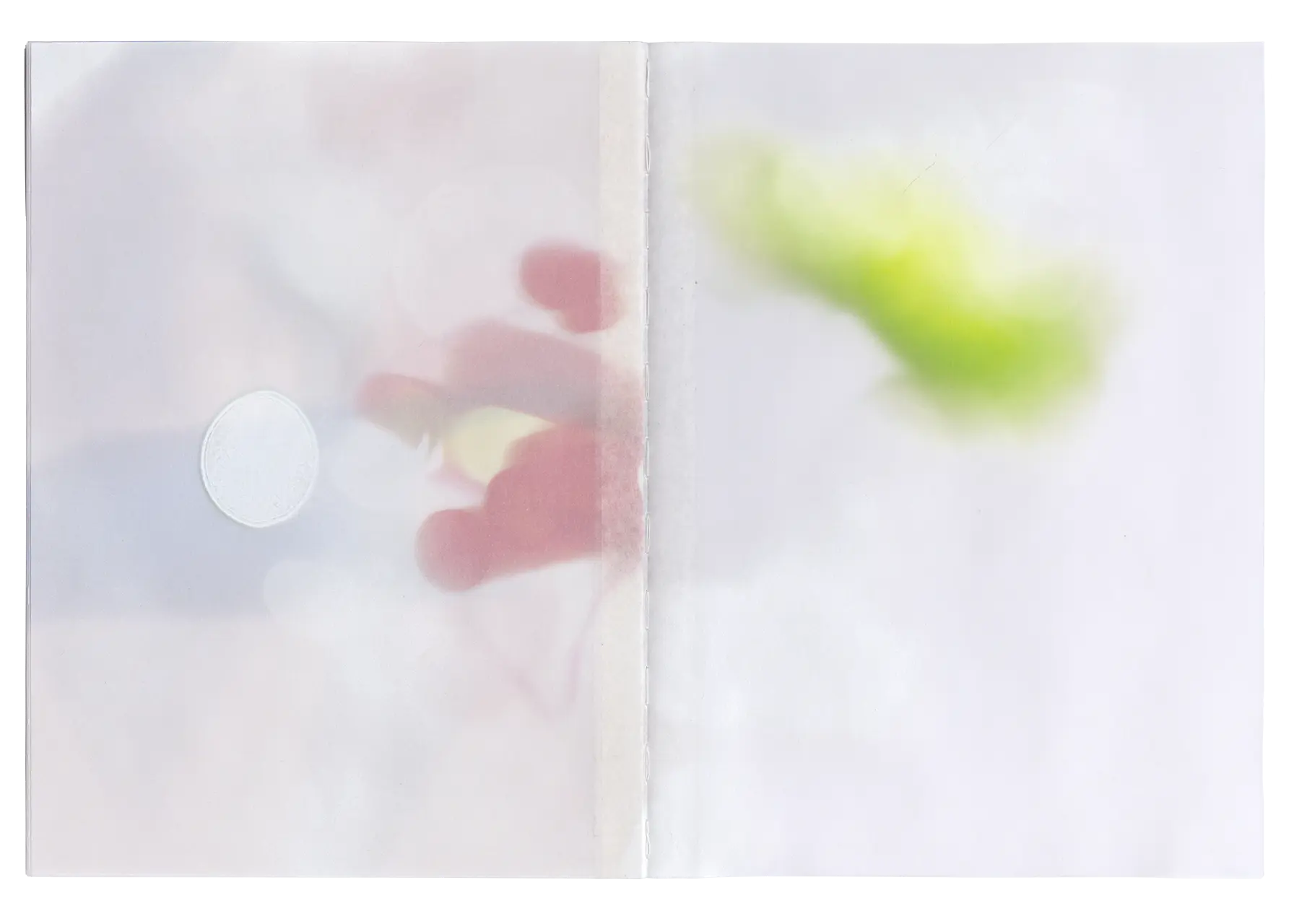 Seventeenth spread of the Bloom book, in this spread is the blur and extracted bloom of a plant sprouting from the sidewalk somewhere in the College Hills of Providence Rhode Island. Notably, the images were printed using a UV printer directly onto the pre-bound pages. As a result, the binding thread in the book's seam has taken on some of the color from the images.