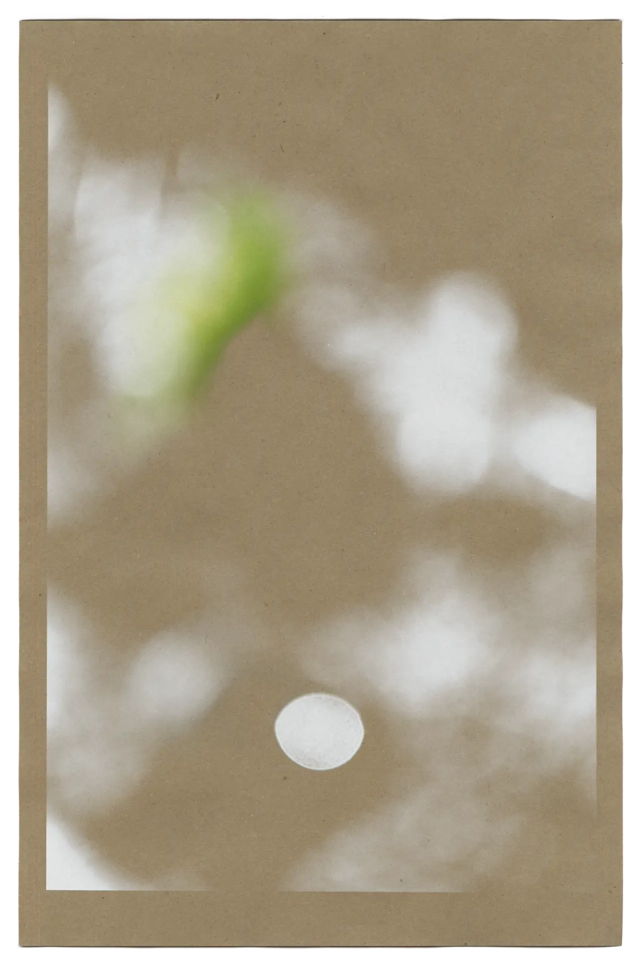 This print was produced from an image of a little sprouting plant in the sidewalk somewhere in the College Hills of Providence Rhode Island.