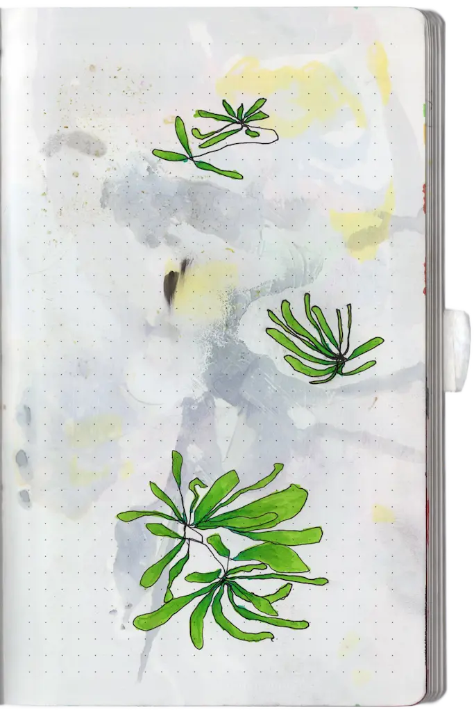 A drawing of some plants I saw in Georgia growing in a little creek. The water of the creek I made with little flowers and grass I squished in between the pages.
